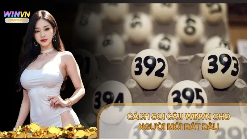 Người mới nên thực hiện soi cầu theo từng bước rõ ràng
